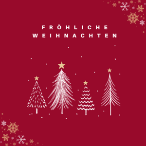 Fröhliche Weihnachten und ein gesundes neues Jahr!