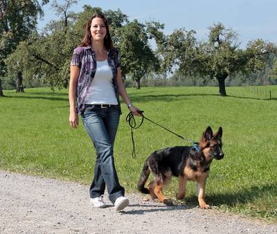 Promenade avec son chien